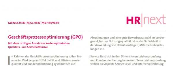 Geschäftsprozessoptimierung (GPO)